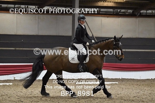 BPP_8981 - NOVICE 6
