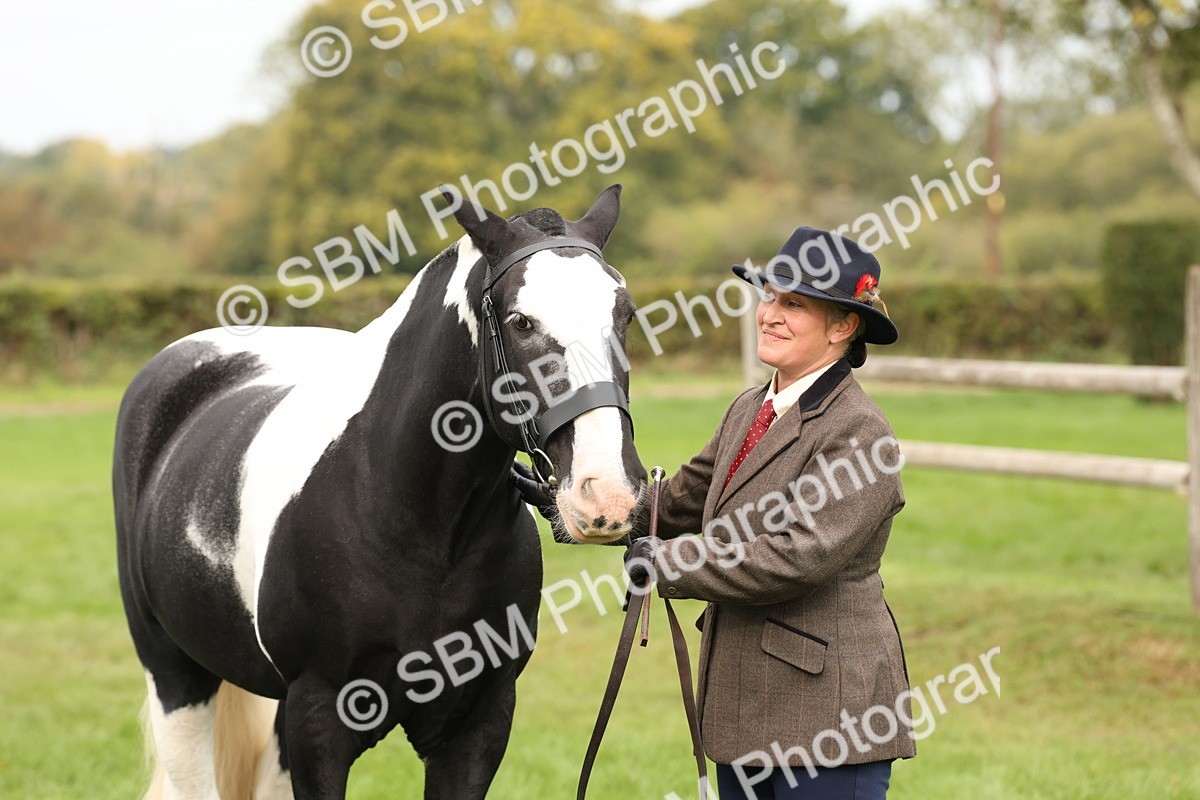 SBM_57527 - S56 - Show Cob in Hand
