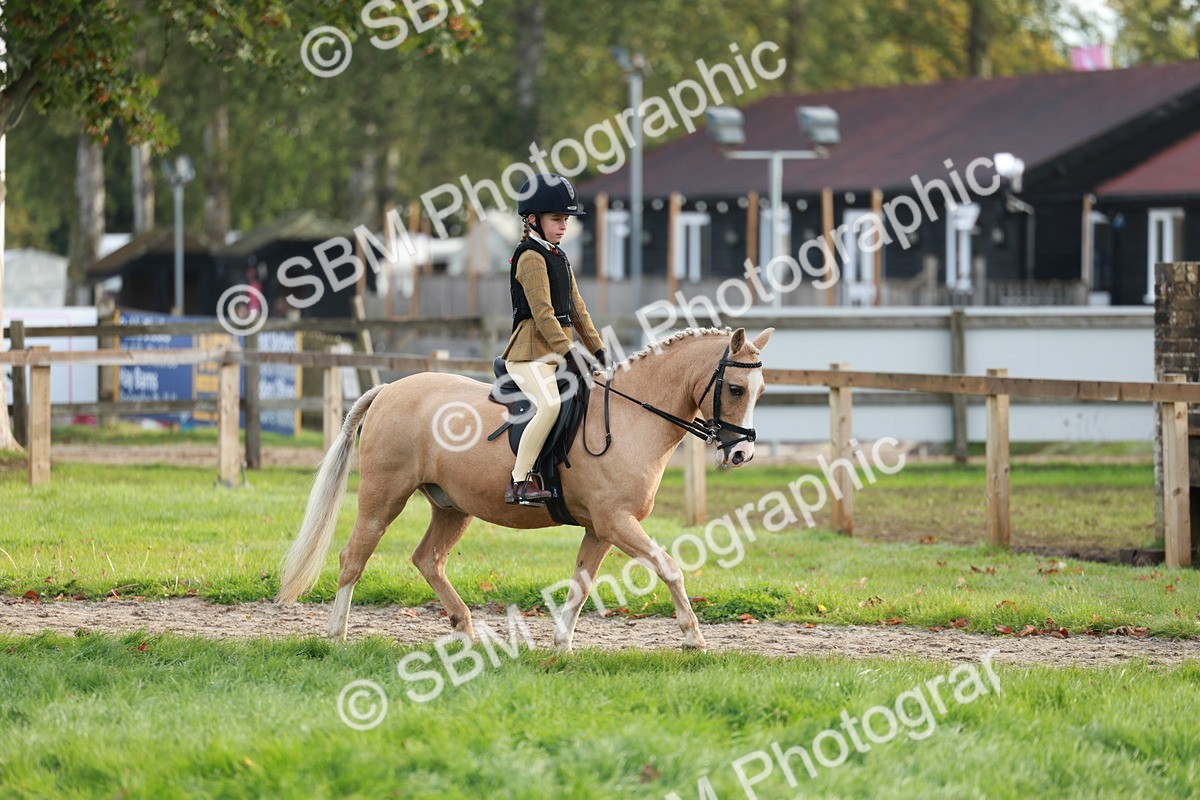 SBM_56323 - S39 - Starters In Hand Showing
