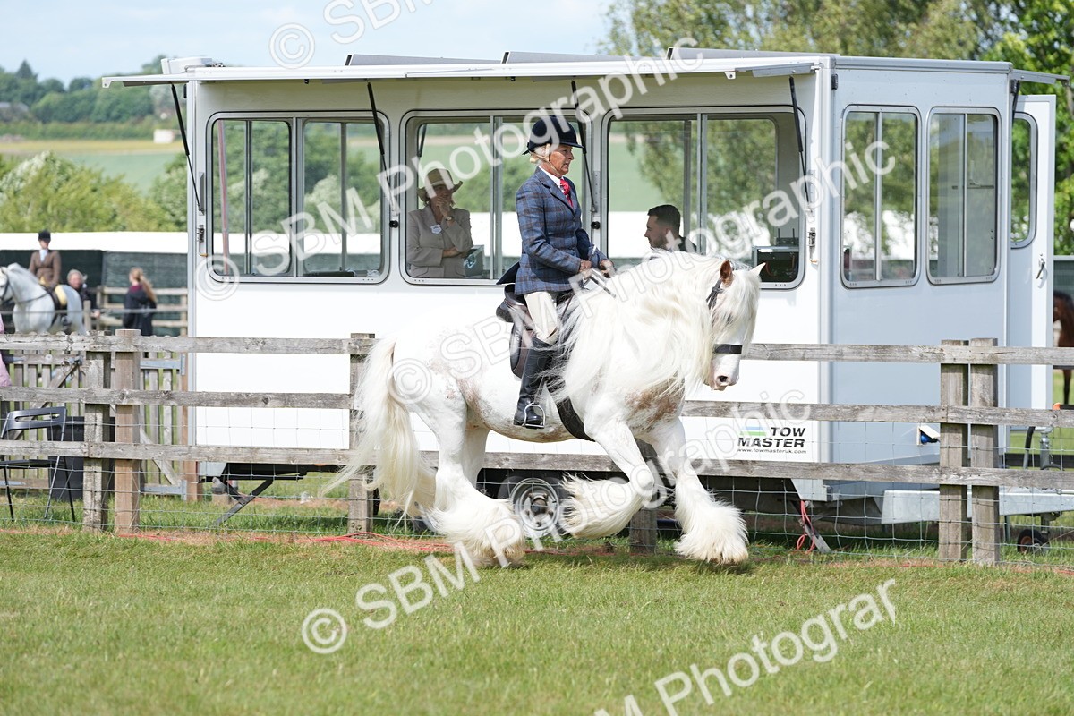 SBM_17138 - Class 107-108 - LIHS BSPS Performance Coloured Horse Pony