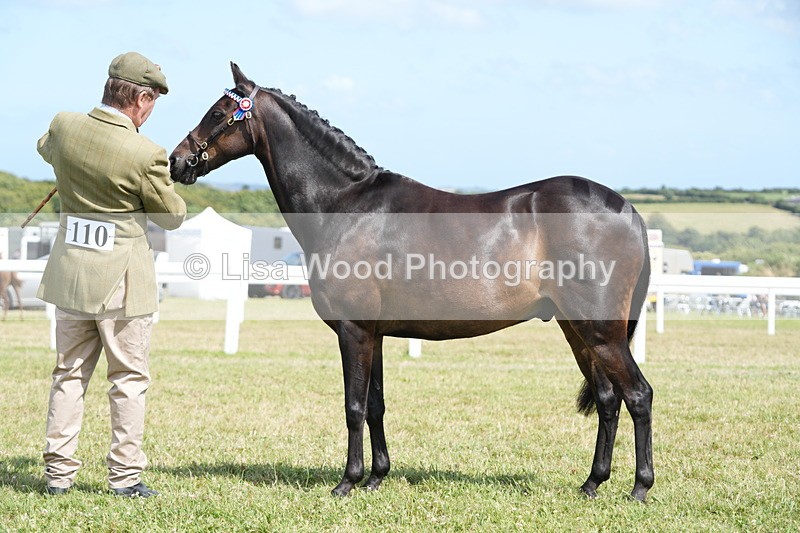 DSC07371 - Class 69: NPS Show Pony 4 years and over