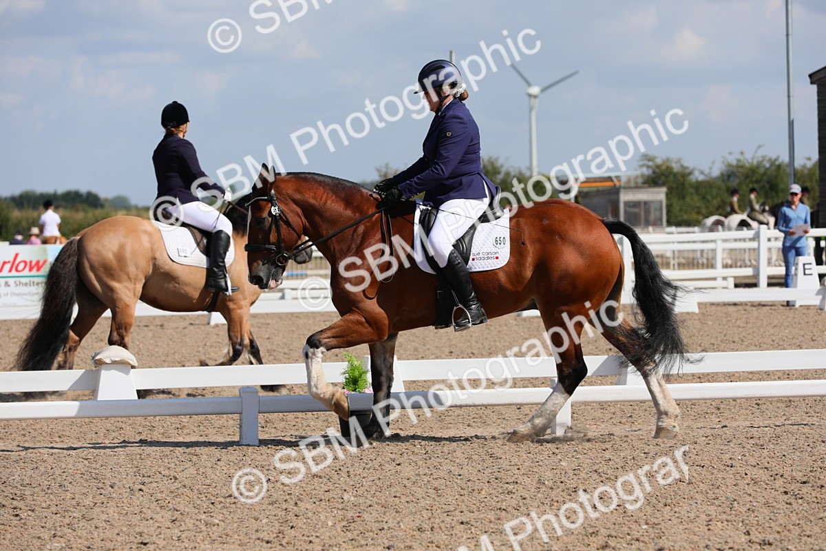 SBM_03836 - Class 31 Prelim 1