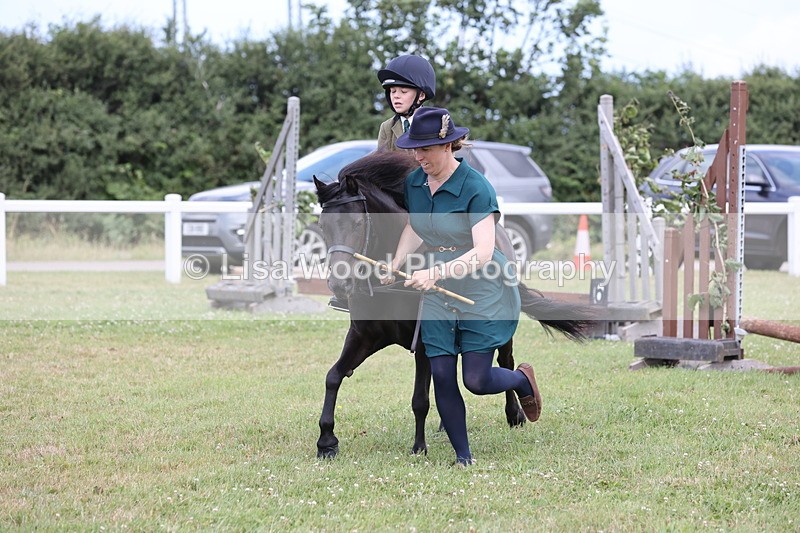 JPP_1788 - Class 18: Tiny Tots Working Hunter Pony