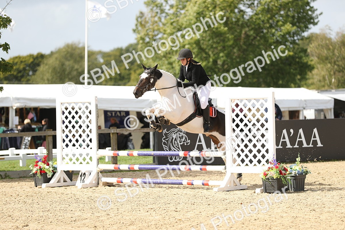 SBM_06455 - J29 - Senior Horse & Pony 65cm Championship