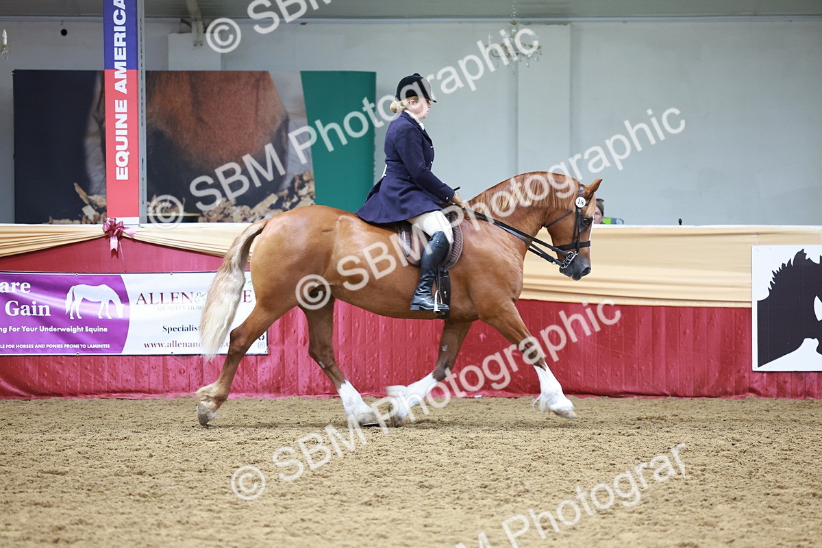 SBM_18623 - Class 952 - M&M Ridden Supreme Final