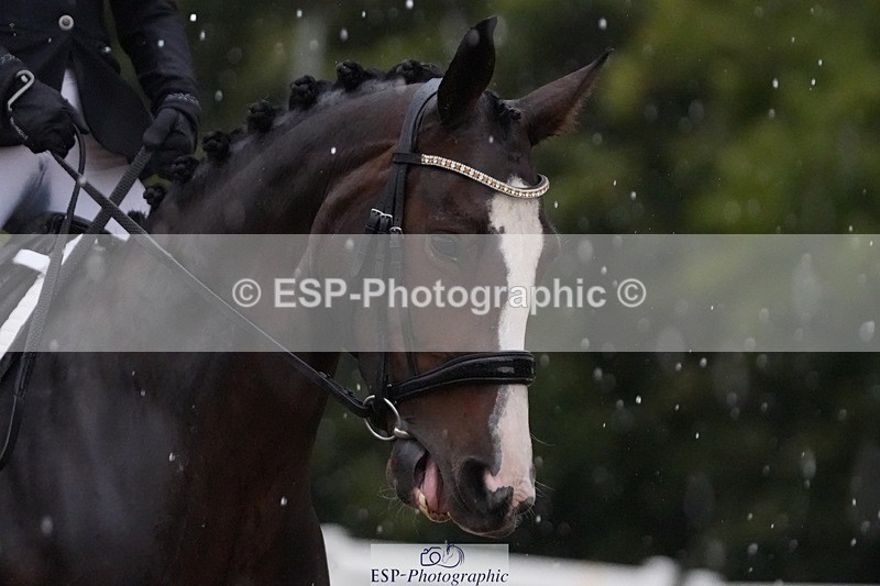 250907-080331-05349 - 084-Mia.KirbyWFD.Wild.Thyme