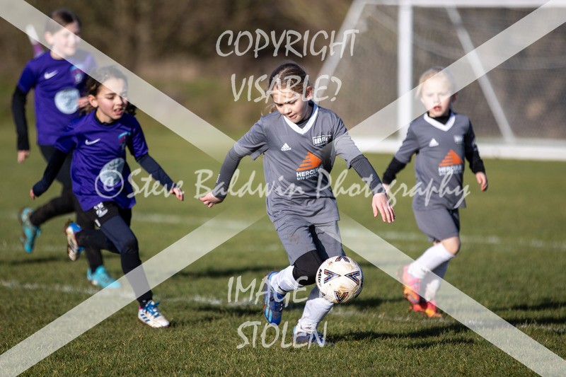 1DX31377 - 2026-01-17 FC Abbey Meads U9 Purple Girls V Develop FC U9 Girls