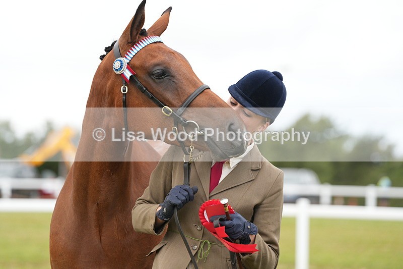DSC06405 - Class 55: Hunter/Riding Horse/Hack 3 & 4 yr olds