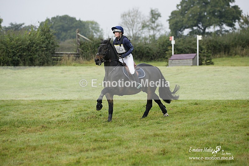  WWHT 171021 0753 - Open Novice (0.80m)  17/10/21