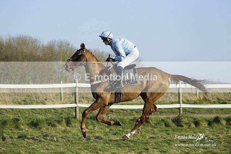 PtP 270222 421 - South & West Wilts Point-to-Point Larkhill 27/02/22