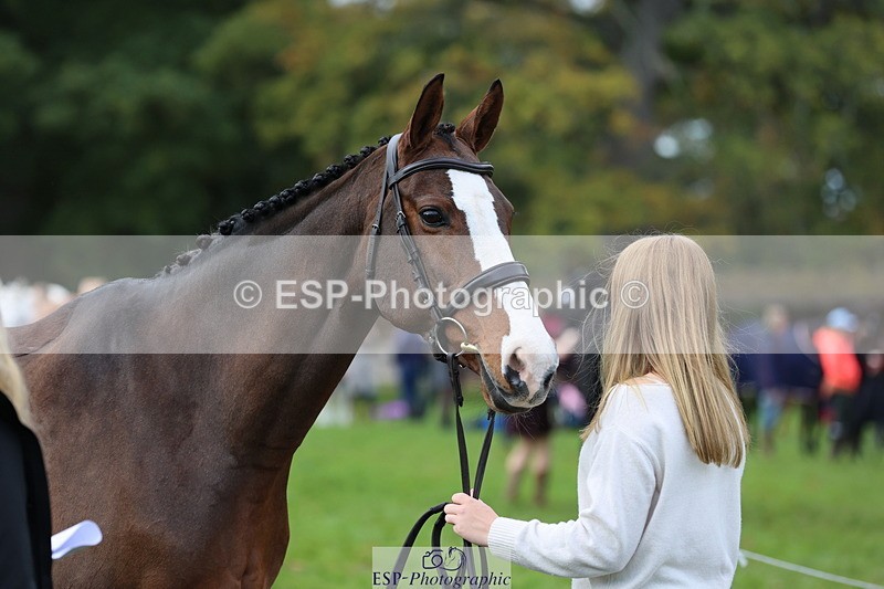251026A-104314-23218 - F-406-Georgie.Down