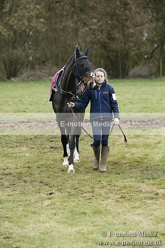 PtP 110318 87 - Hampshire Hunt Point-to-Point Hackwood Park 11/03/18