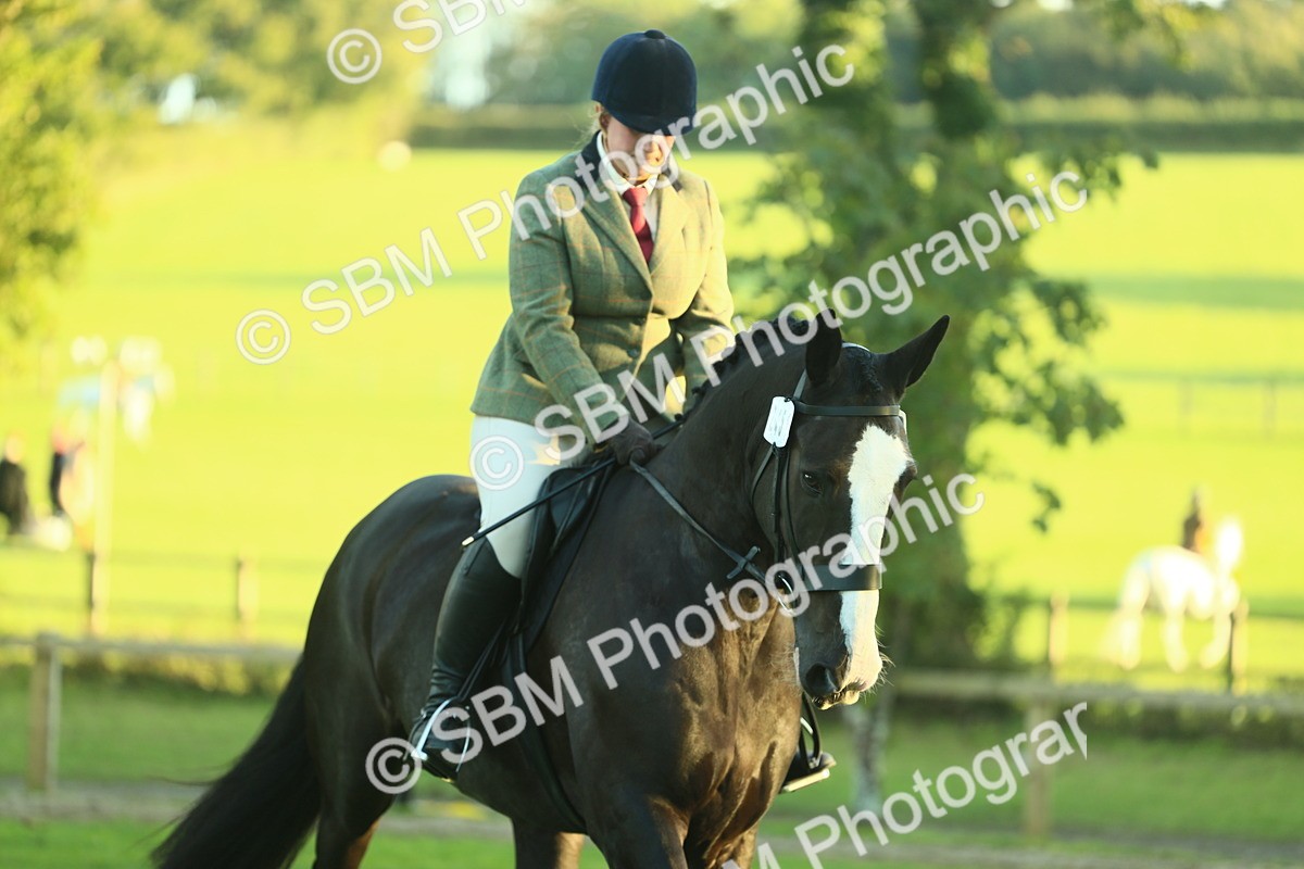 SBM_55640 - S14 - Riding Club Horse