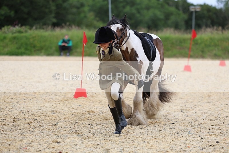 3E7A9687 - Walk trot run