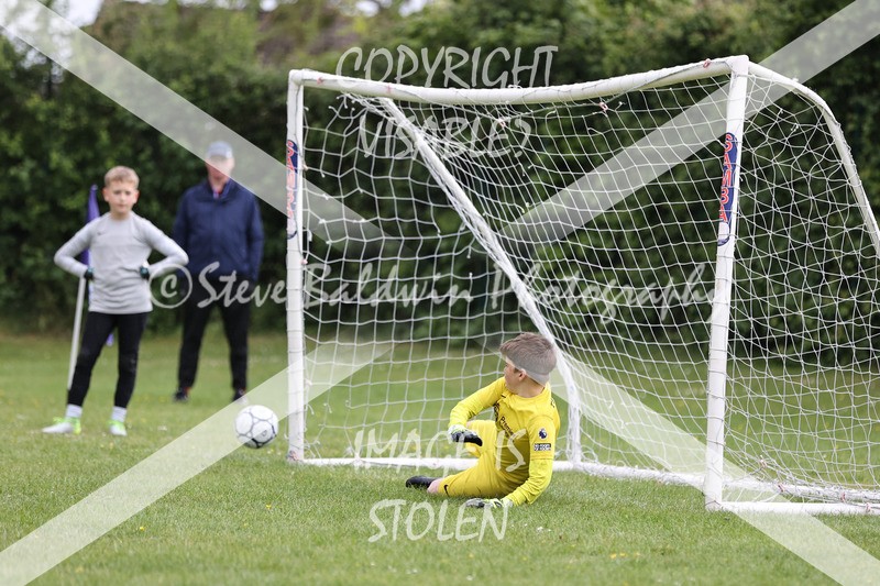 1DX33117 - The Croft V Tregoze