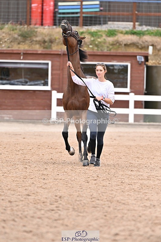 250716-141819-01001 - Trot Up 1.30 to 2.30