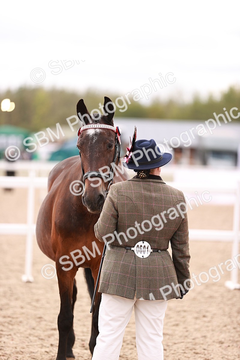 SBM_16344 - Class 413 - Best Condition - Adult