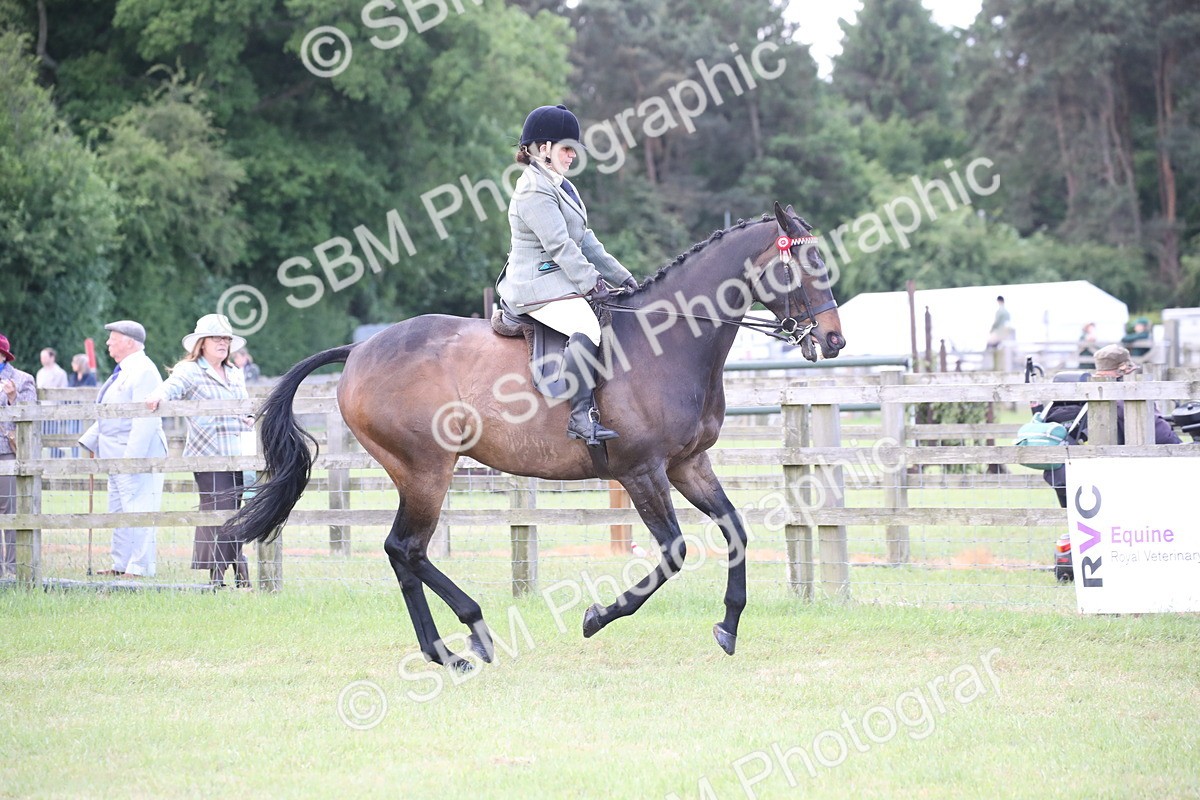 SBM_14169 - Class 113-114 - Retraining of Racehorses Ridden