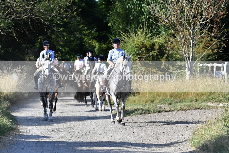 WJ5_4883 - Walk out with the hounds