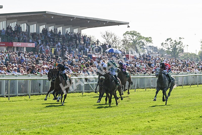 180524-Race 5-Tinto-9672 - Race 5