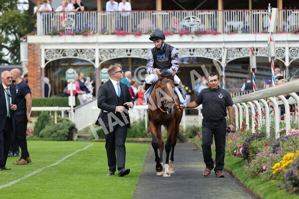 yr04092022r2-53 - Race 2 2.20pm John and Judith Marshall Memorial Stakes