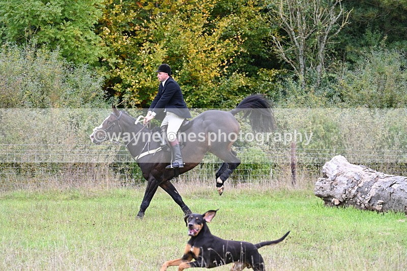 WJ7_3599 - Camera 1 Line 1