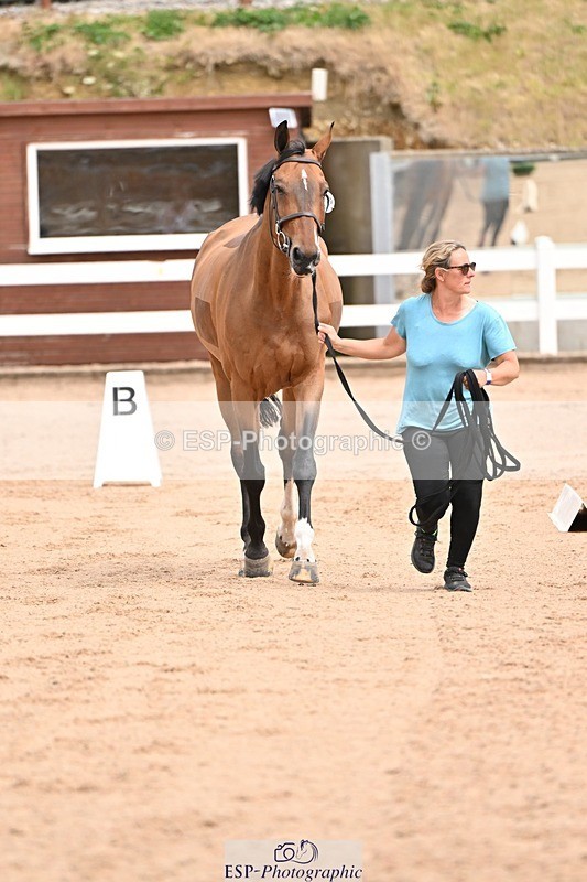 250716-150835-01674 - Trot Up 2.30 to 3.30