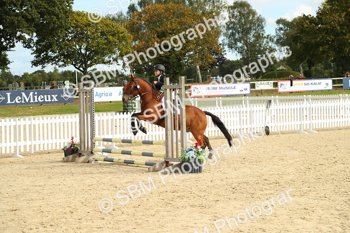 SBM_49413 - J7 - Junior Pony 60cm Championship