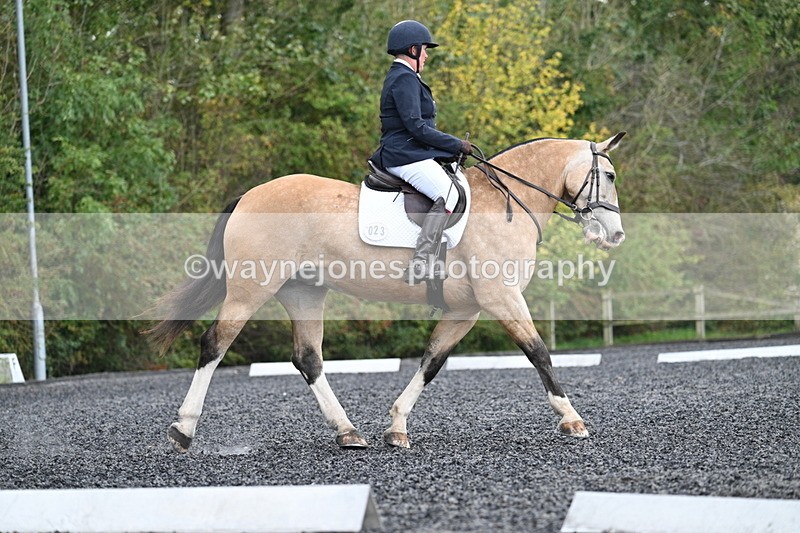 WJ7_4459 - Time 11:43 to 12:09