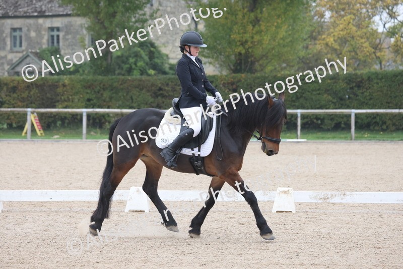 20251012-0444 - Class 3 - Novice 5