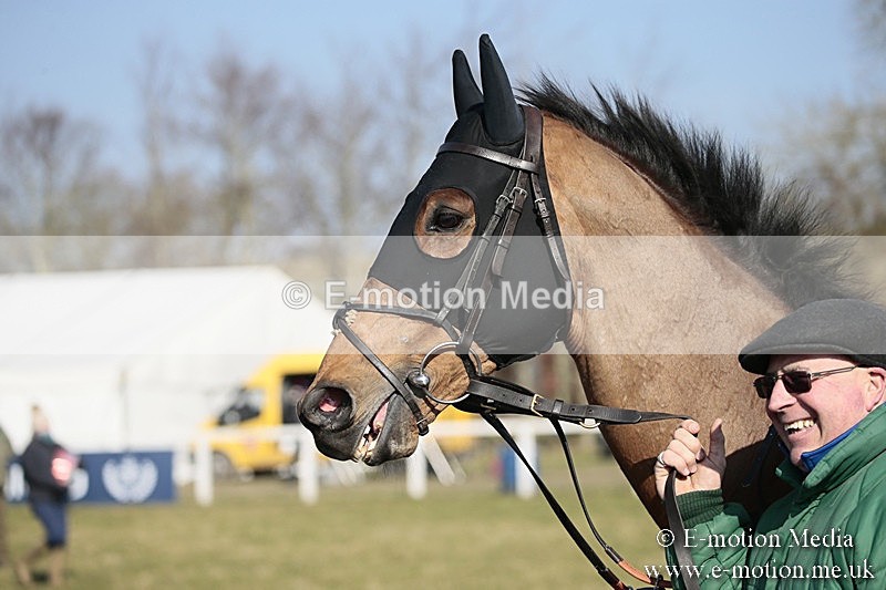PtP 240218 194 - Vine & Craven Hunt Point-to-Point Barbury racecourse 24/02/18