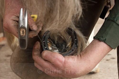 8 - The Farrier