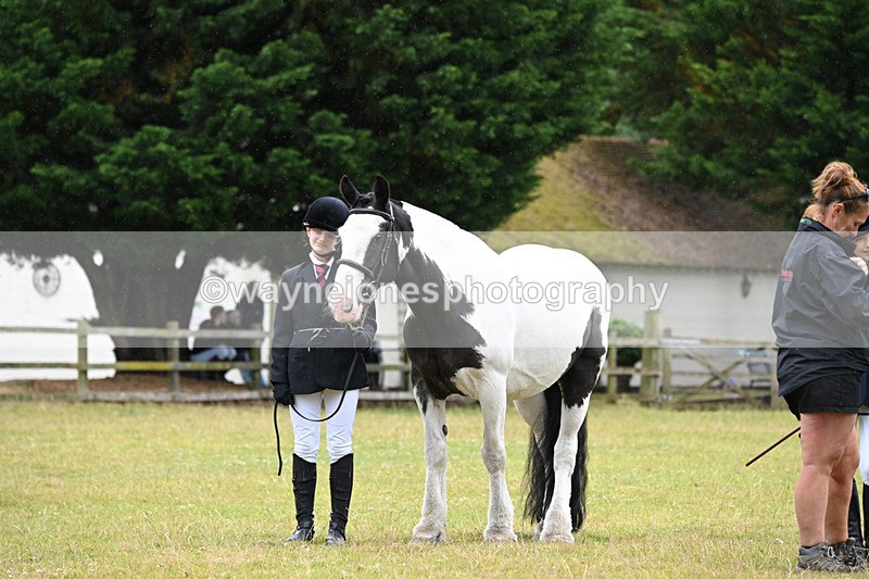 WJ6_8858 - Class 10 Coloured in-hand
