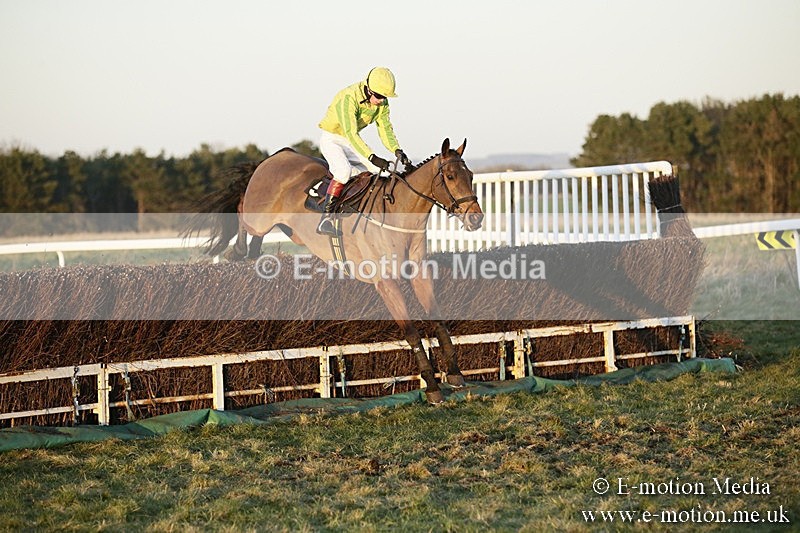 PtP 070118 -845 - Larkhill Racing Club Point to Point Larkhill 07/01/2018