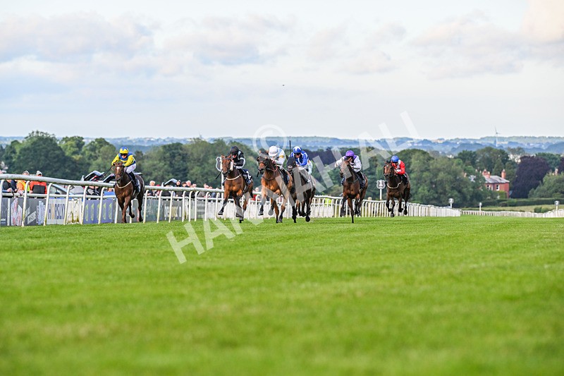 180624-Race 4-Distinction-8656 - Race 4