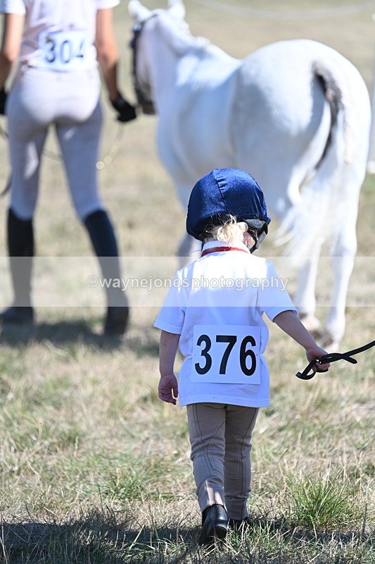 WJ7_1776 - Class 43 Best Six Legs (In hand)