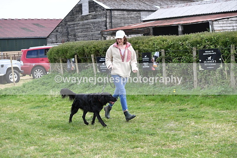 WJ5_0070 - Class 5 Best Veteran / 7 years & over