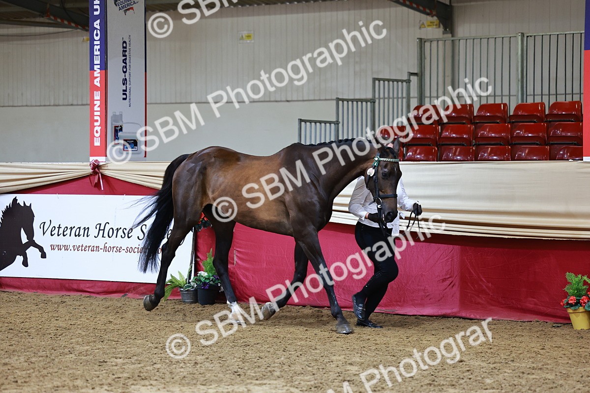 SBM_22214 - Class 902 - Supreme Final - IH Diamond