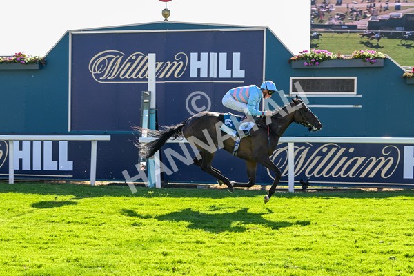 110725-Race 7-Secret Beach-4713 - Race 7 5.40pm William Hill Bet In Running Apprentice Handicap