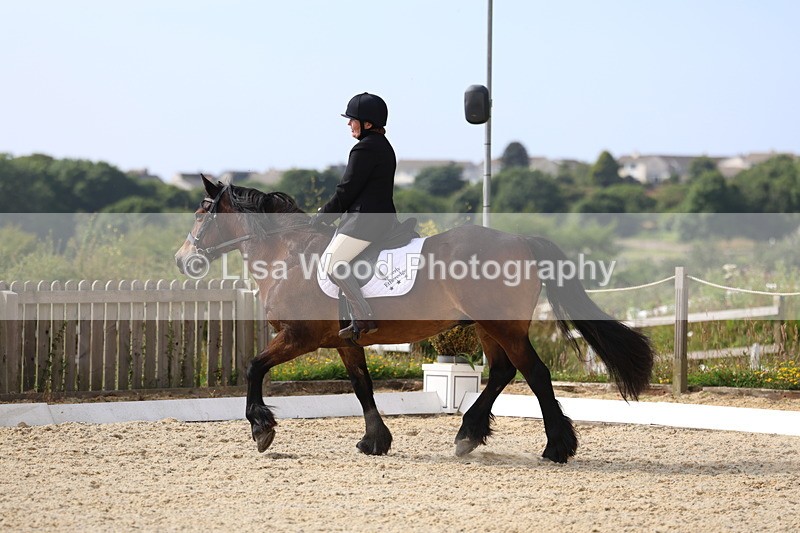 3E7A3168 - Class 1: Intro 1 2024 Section A