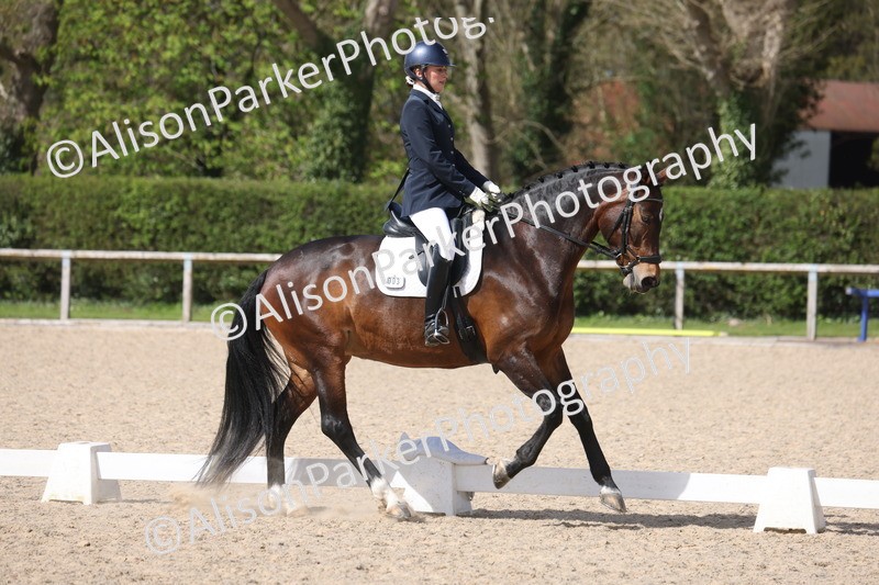 20260405-0732 - Class 8 - Medium 6