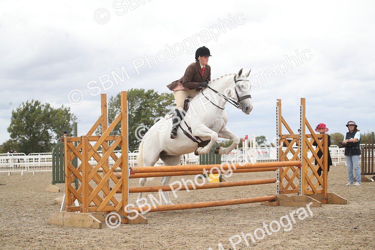 SBM_18265 - Class 509a - Working Veteran - 80cm (15-19)