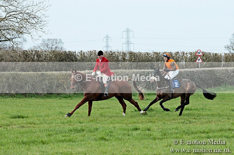 PtP 230319 201 - VWH Hunt Siddington Point-to-Point Racing 23/03/19