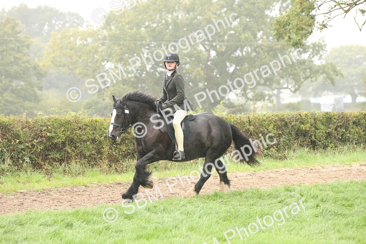 SBM_72746 - S70 - Traditional Cob Ridden