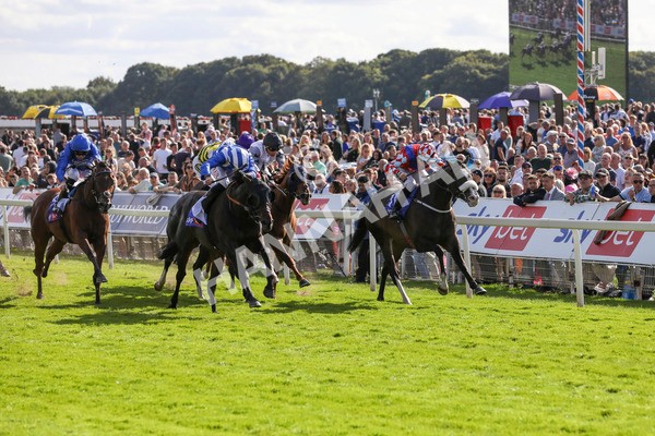 240824-Race 5-Elmonjed-9169 - Race 5 4.10pm Sky Bet Constantine Handicap
