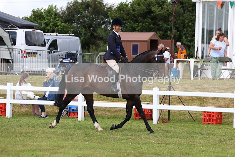 3E7A0461 - Rising Star Ridden Championship