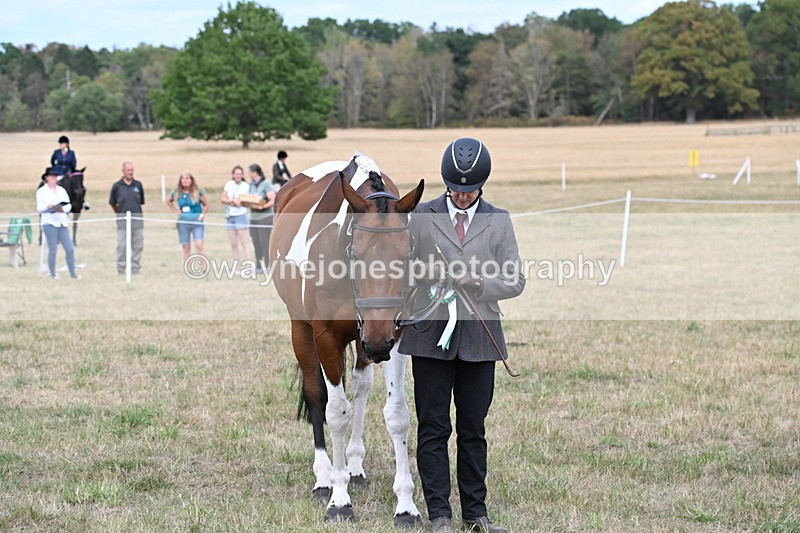 WJ6_6322 - Class 19 In-hand Veterans (Uploaded correct folder)
