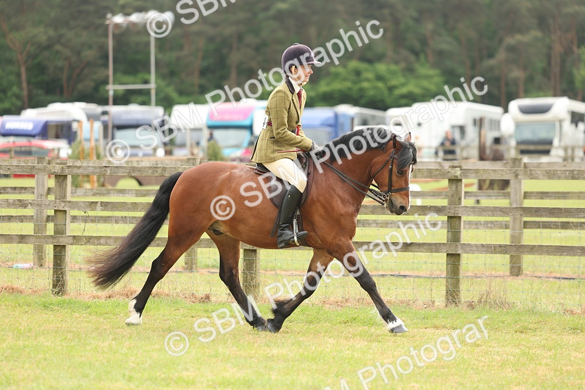 SBM_09172 - Class 78-80 - Ridden M&M Non Welsh Ponies