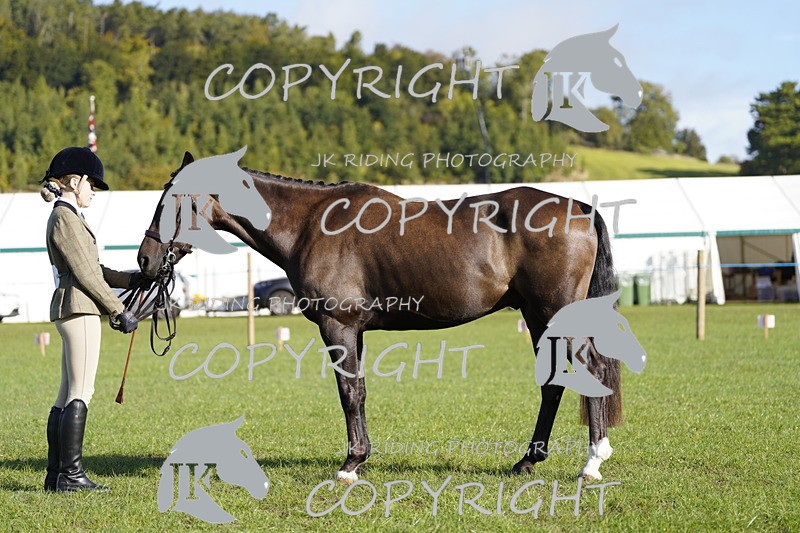_DSC9506 - Class 8 & 17 Ridden Hunter & Ridden Hunter Pony