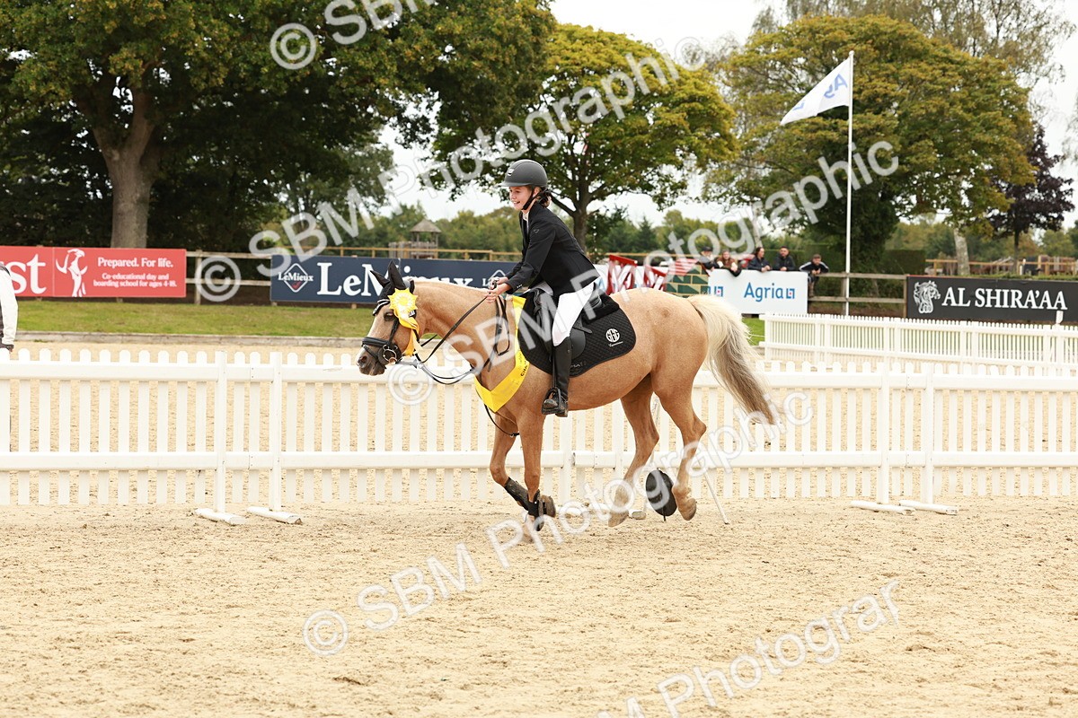 SBM_63928 - J12 - Junior Pony 55cm Championship